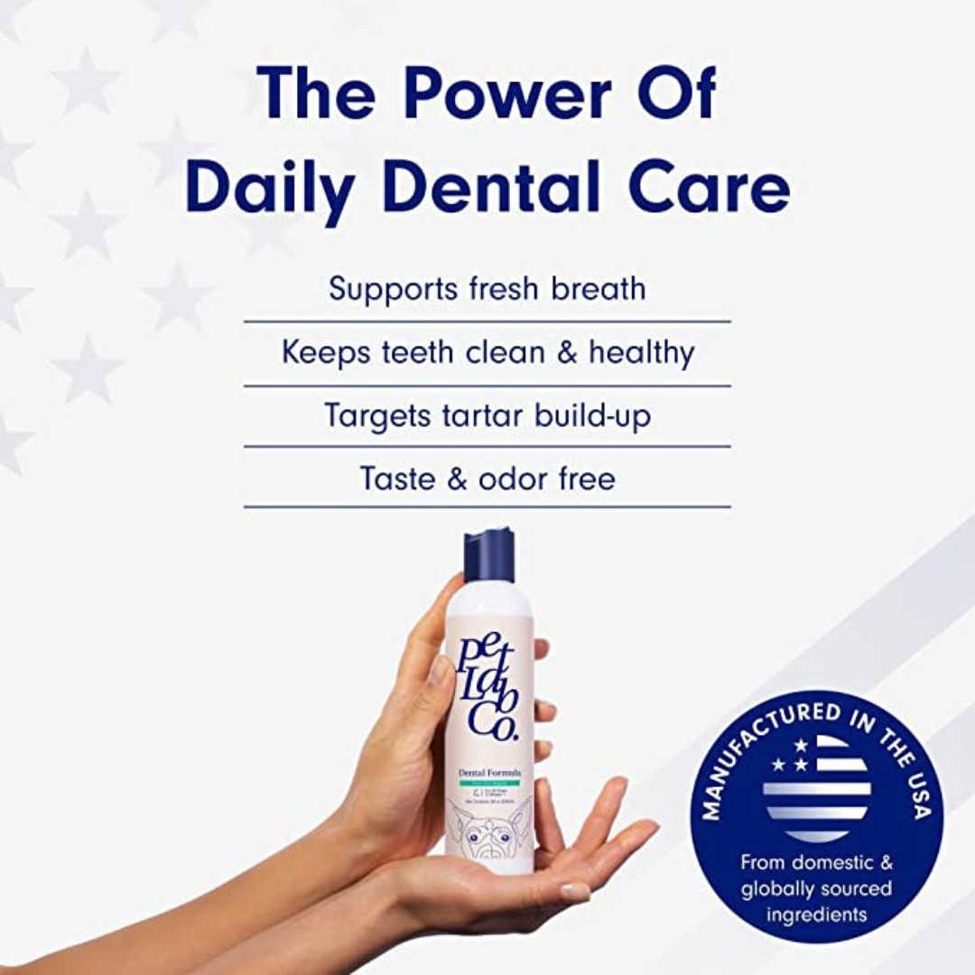 How To Improve Your Dog s Dental Health With PetLab Co Dog Dental Formula How to improve your dog s dental health with petlab co dog dental formula